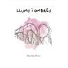 Llums i ombres
