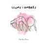 Llums i ombres