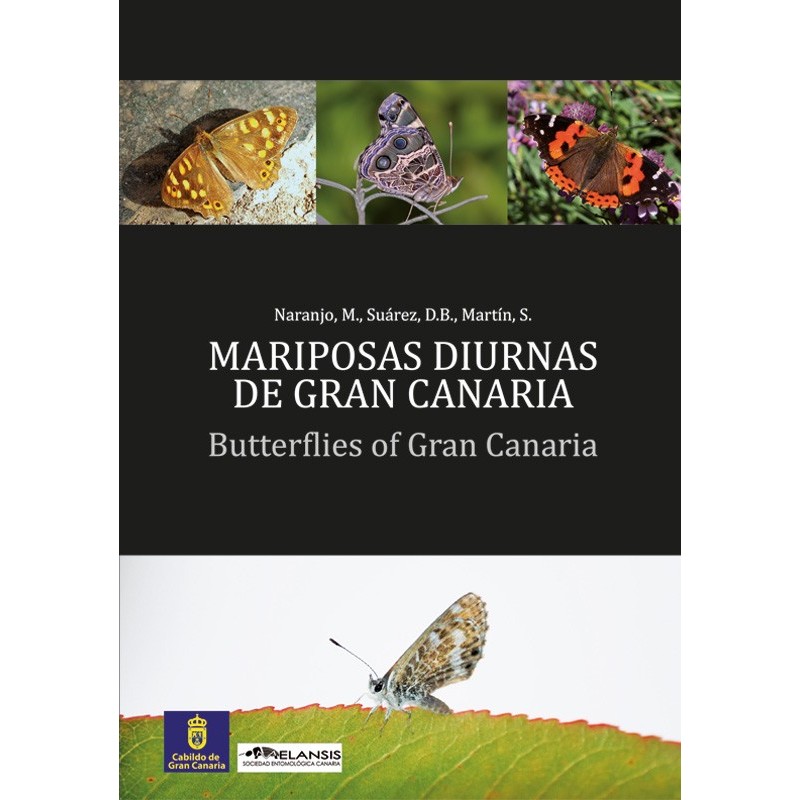Mariposas diurnas de Gran Canaria