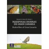 Mariposas diurnas de Gran Canaria